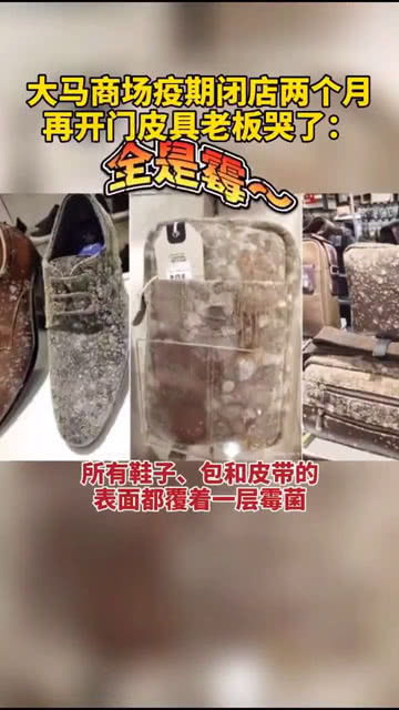 馬來西亞皮具老板都要哭了時(shí)隔兩月重新開門營業(yè),皮革制品幾乎全部發(fā)霉